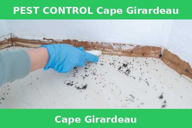 PEST CONTROL Cape Girardeau